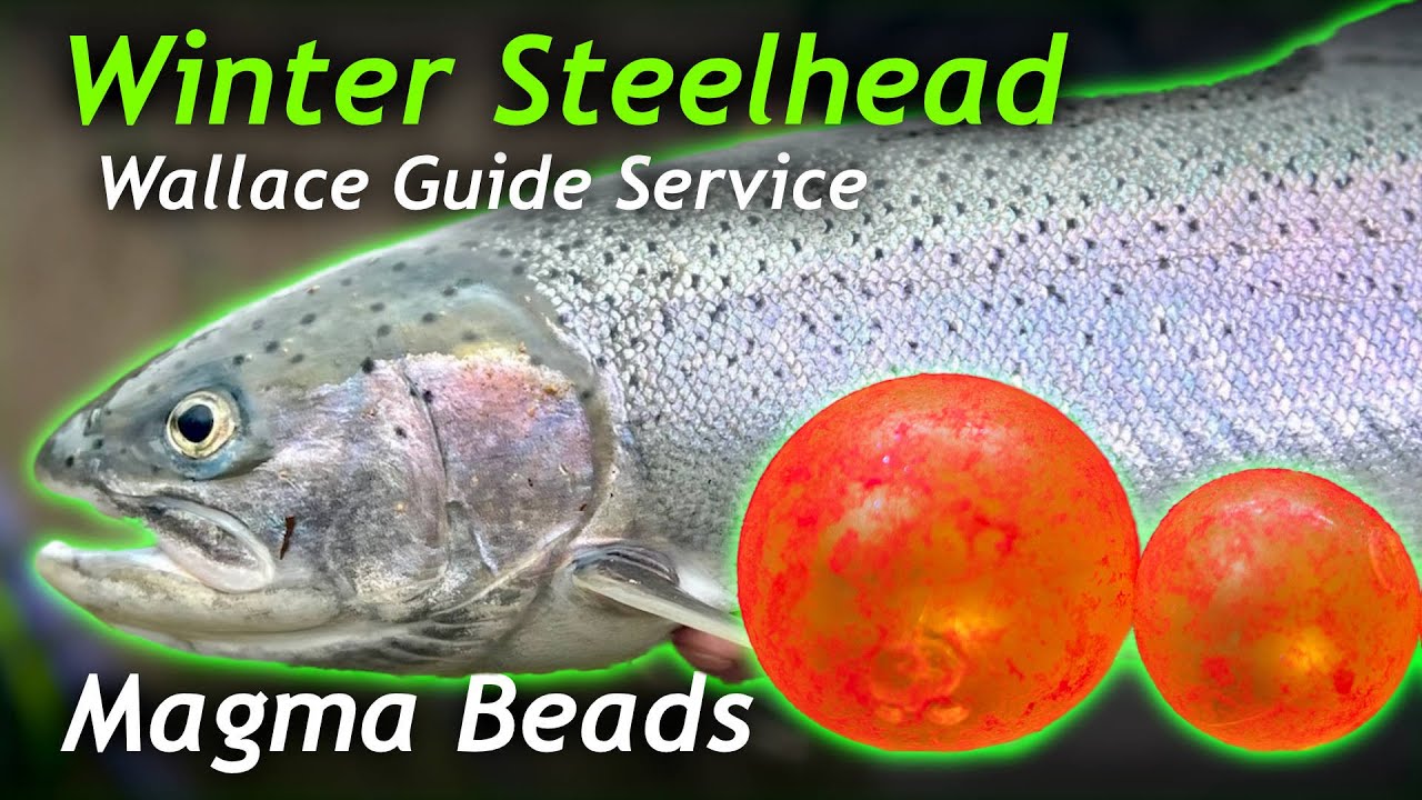 Winter Steelhead Bead Fishing, Rogue River