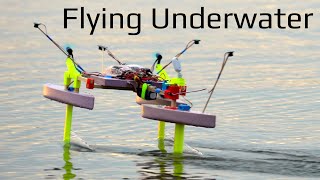 Can A Hydrofoil Fly Like An Airplane???