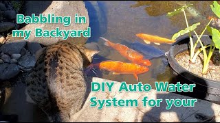 How to DIY Auto Watering System for your pond