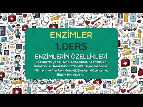 Enzimler 1.Ders / Biyokimya