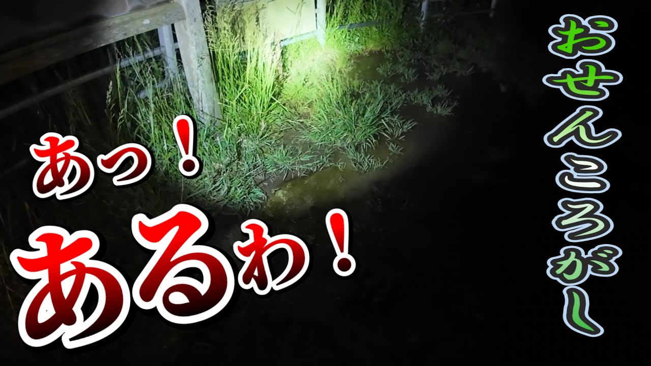 【呪物】おせんころがしにあるモノを引き取りにいきました