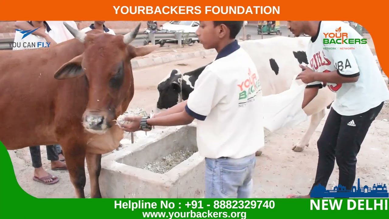 12th Nov 22 Children feeding Stray Animals | Yourbackers | Creating Next Generation as Helping Hands