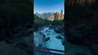 🍃🌊#nature #ytshorts #money #music #viral #feedshorts #naturvideo #success #shorts #naturephotography