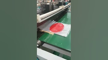 MÁY CẮT DẬP TÚI PP THANH LONG