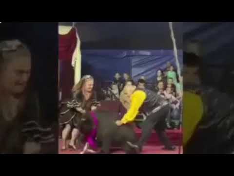 WATCH: Hat & scarf clad circus bear attacks trainer during show WATCH: Hat & scarf clad circus bear attacks trainer during show
