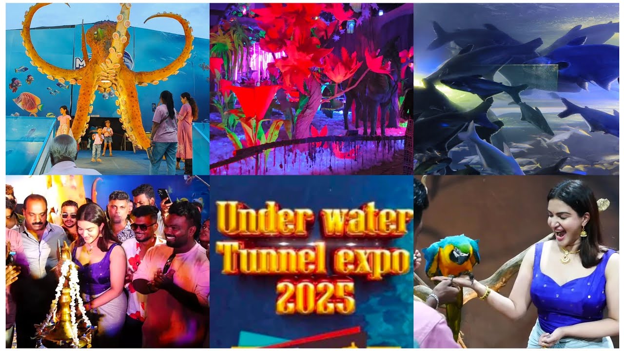 Выставка подводных туннелей Патанамтитта 2025 | Выставка «Подводный туннель 2025» Патанамтитта | ...