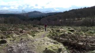 CyB Pete with Good View in background screenshot 3