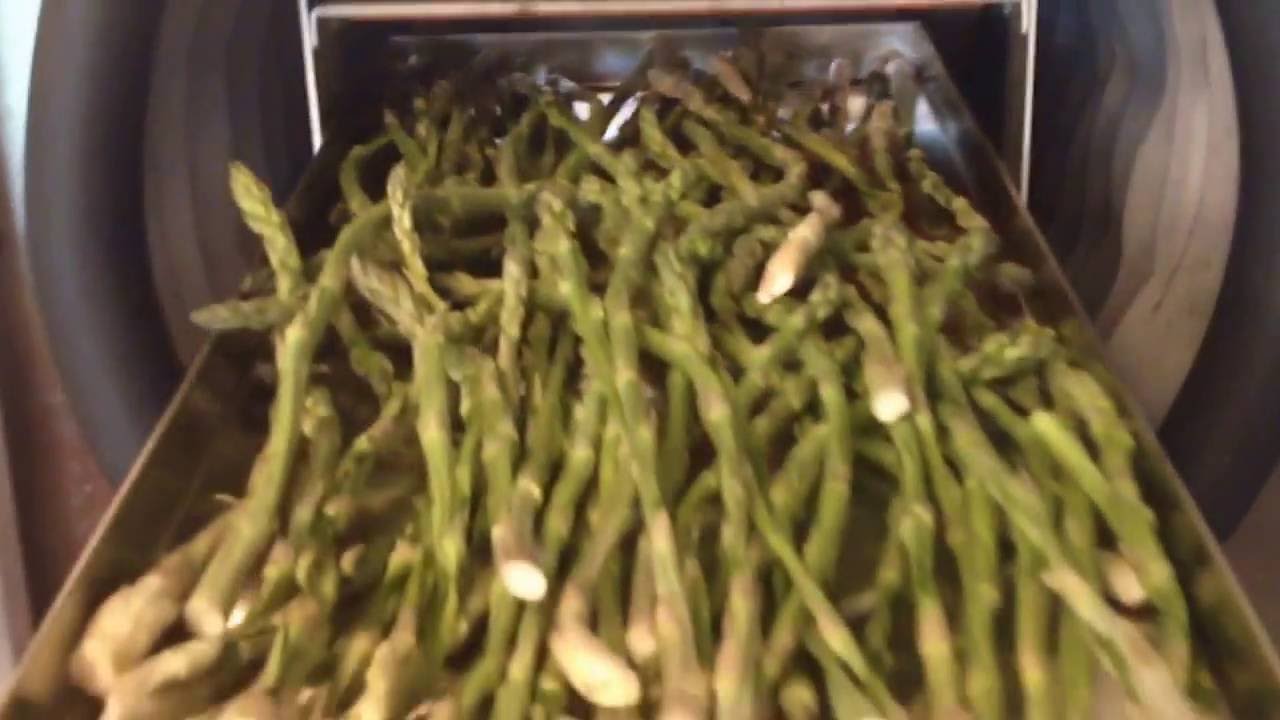 FRESH HEALTHY ASPARAGUS Harvest Right Home FREEZE DRYER DRIED HOME FOOD