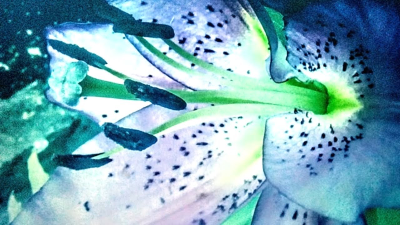 new-modern-post-punk-music-politics-of-hate-the-death-of-democracy