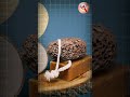 Why This Rock Floats On Water! #pumice #science #facts