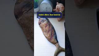Tempat pensil ikan #pouch #pencilcase