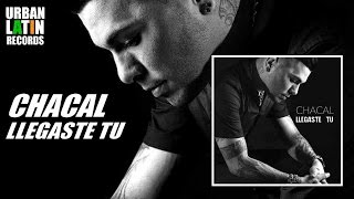 Chacal Llegaste Tu Reggaeton Cubaton