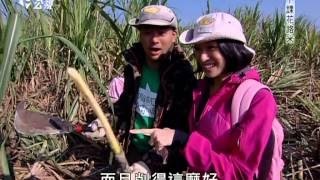 20140616 公視 [下課花路米] 台北市貓空纜車