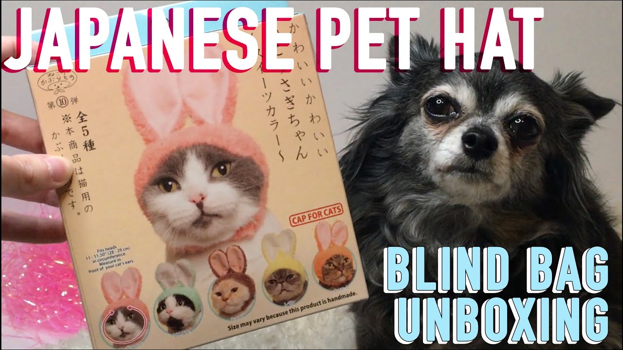 Kawaii Japanese Pet Hat Blind Bag Quarantine Unboxing - Bunny Ears on my Chihuahua!