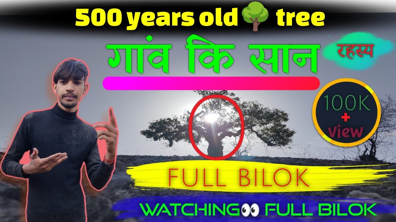 You Won't Believe How Old This Tree Is!  400 years old 🌳trees