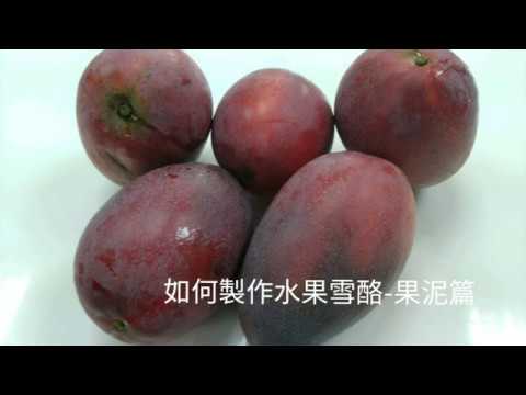 義大利冰淇淋教學-雪酪製作(果泥篇)-sorbet