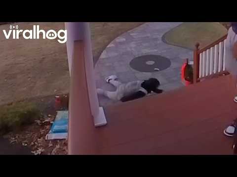 Brothers Keep Slipping on Slick Steps || ViralHog