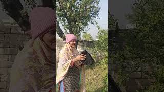 Download Lagu Thand a gai h rayyy🥶 #winter MP3