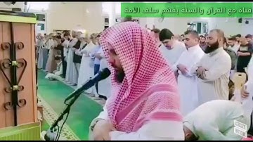 تلاوة من سورة  (النحل) بصوت القارئ خضر مطر الدليمي. .ماشاء الله