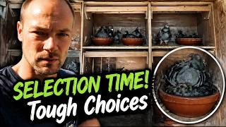 SELECTION TIME! Tough Choices Who Stays & Who Goes