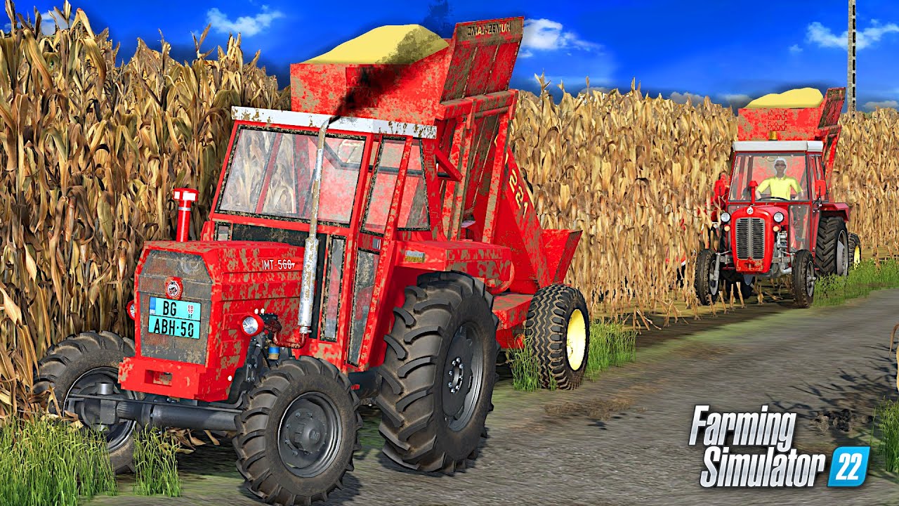 DVA IMT-a & DVA BERAČA, ŽETVA KUKURUZA ! - StaraFarma Ep87