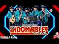 Los Indomables De Cedral - Cuartazo Al Macho ♪ 2020