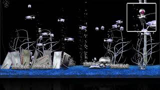 Aquazone Mekasia Mule