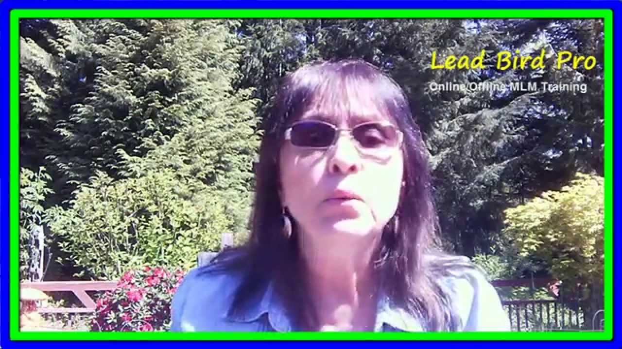 Network Marketing Leads | Network Marketing Leads Nonstop!