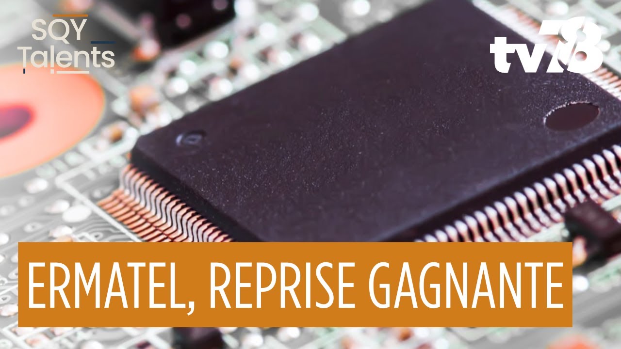 Reprise d’entreprise et innovation : la success story d’Ermatel en France
