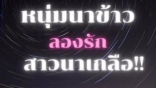 เรื่องสั้น | นิยายเสียง | หนุ่มนาข้าวลองรัก #จบในตอน