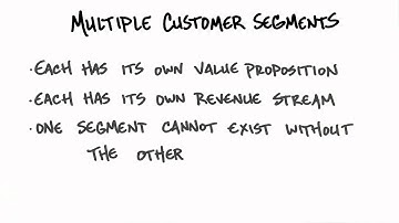 How to Build a Startup   L3   Customer Segments   15   Multiple Customer Segments