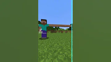اليد الطويلة فى ماين كرافت 