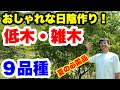 ◆厳選したオススメ【低木・花木】オシャレに日陰を作る！