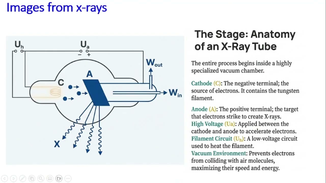 Лекция 3 || Рентгеновская визуализация || MIIP