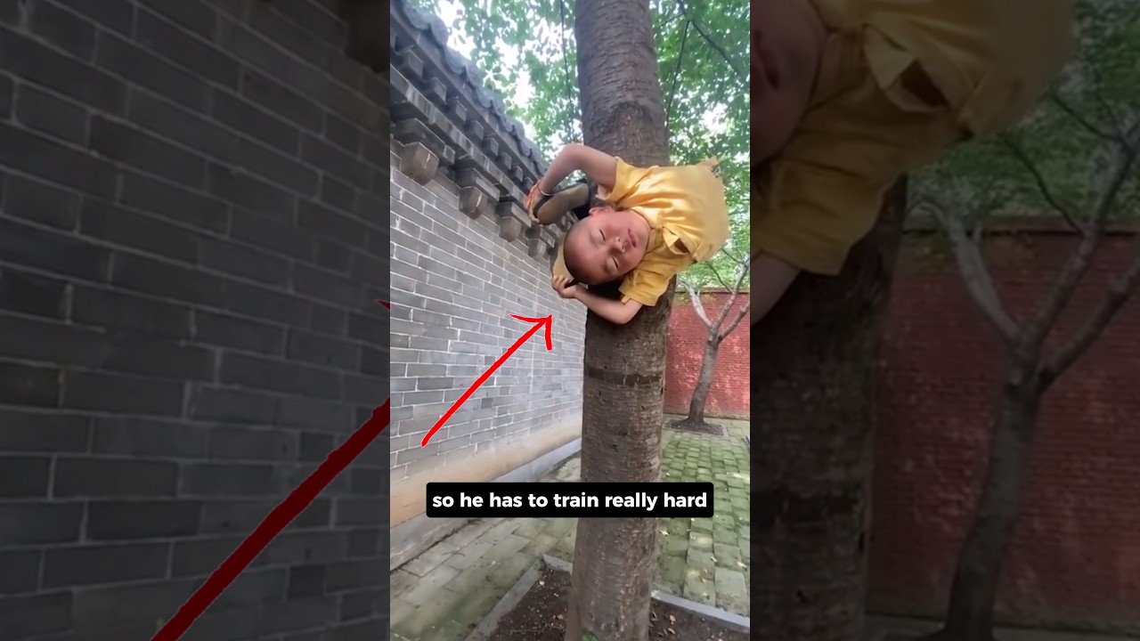 The Three Year Old Kung Fu Prodigy!
