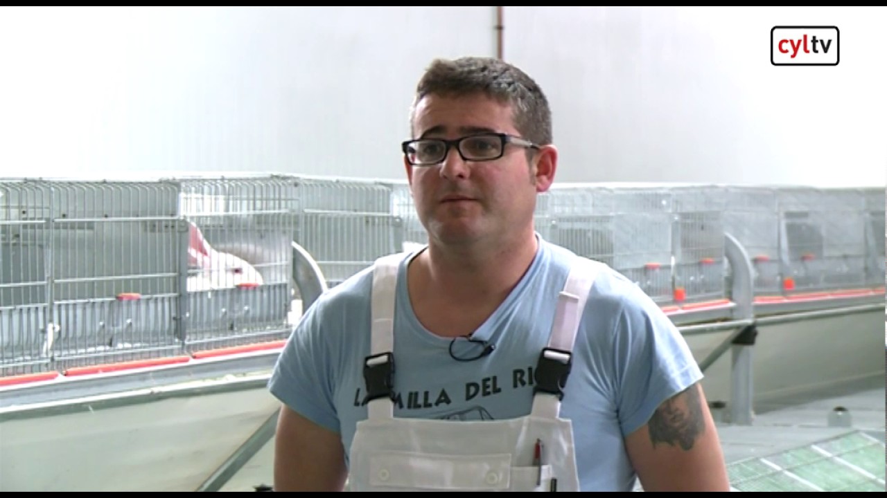 Milla Del Río Cuenta Con La Granja De Conejos Más Grande De Europa Youtube