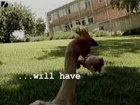 Video Hinh anh khoa than an tuong - youtube