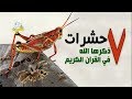٧ حشرات ذكرها الله في القرآن الكريم.. ما هي ولماذا تم ذكرها؟ الإجابة مدهشة