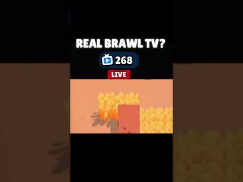 Real Brawl TV