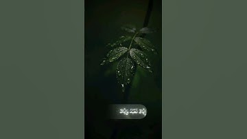 سورة الفاتحة بصوت القارئ محمد اللحيدان