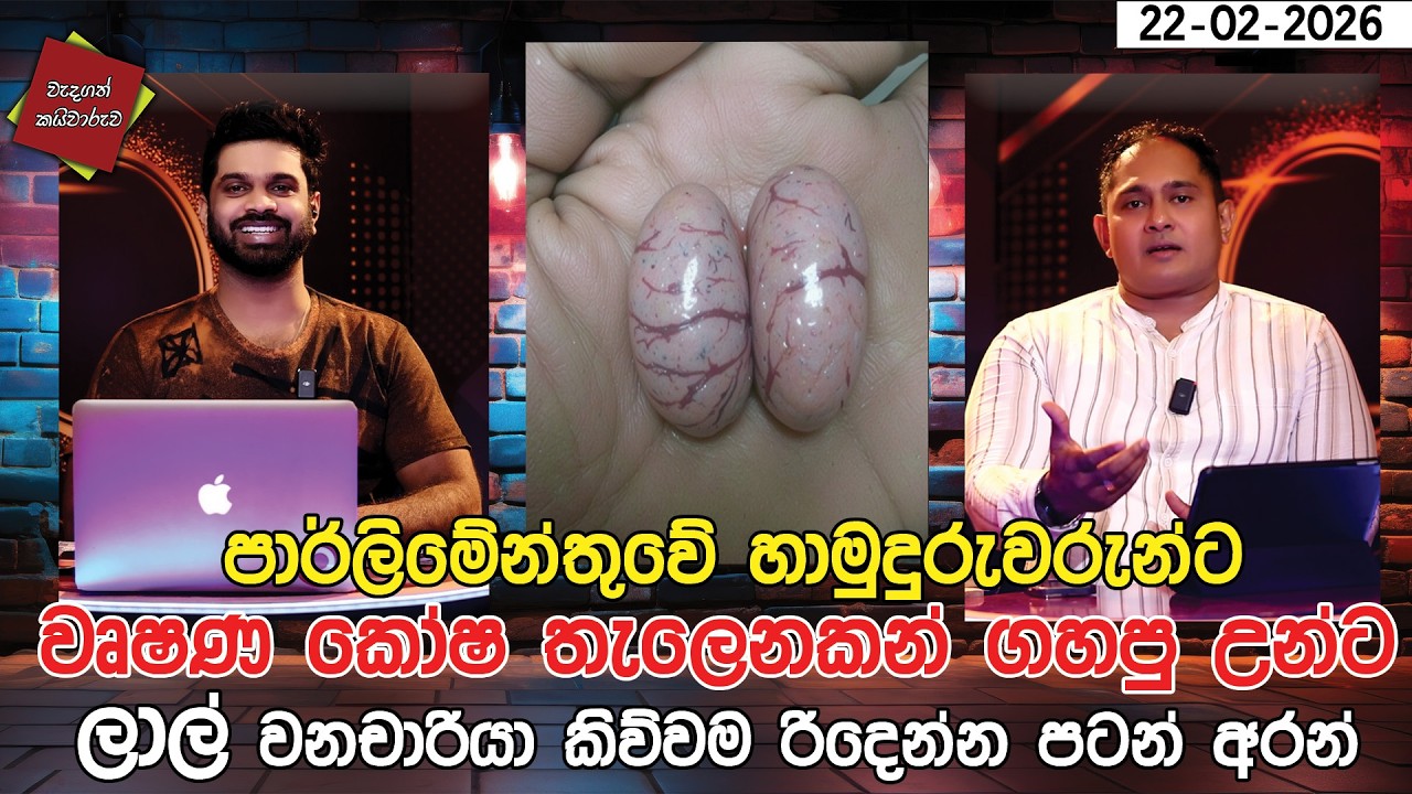 පාර්ලිමේන්තුවේ හාමුදුරුවරුන්ට වෘෂණකෝෂ තැලෙනකන් ගහපුඋන්ට  ලාල් වනචාරියා කිව්වම රිදෙන්න  අරන්