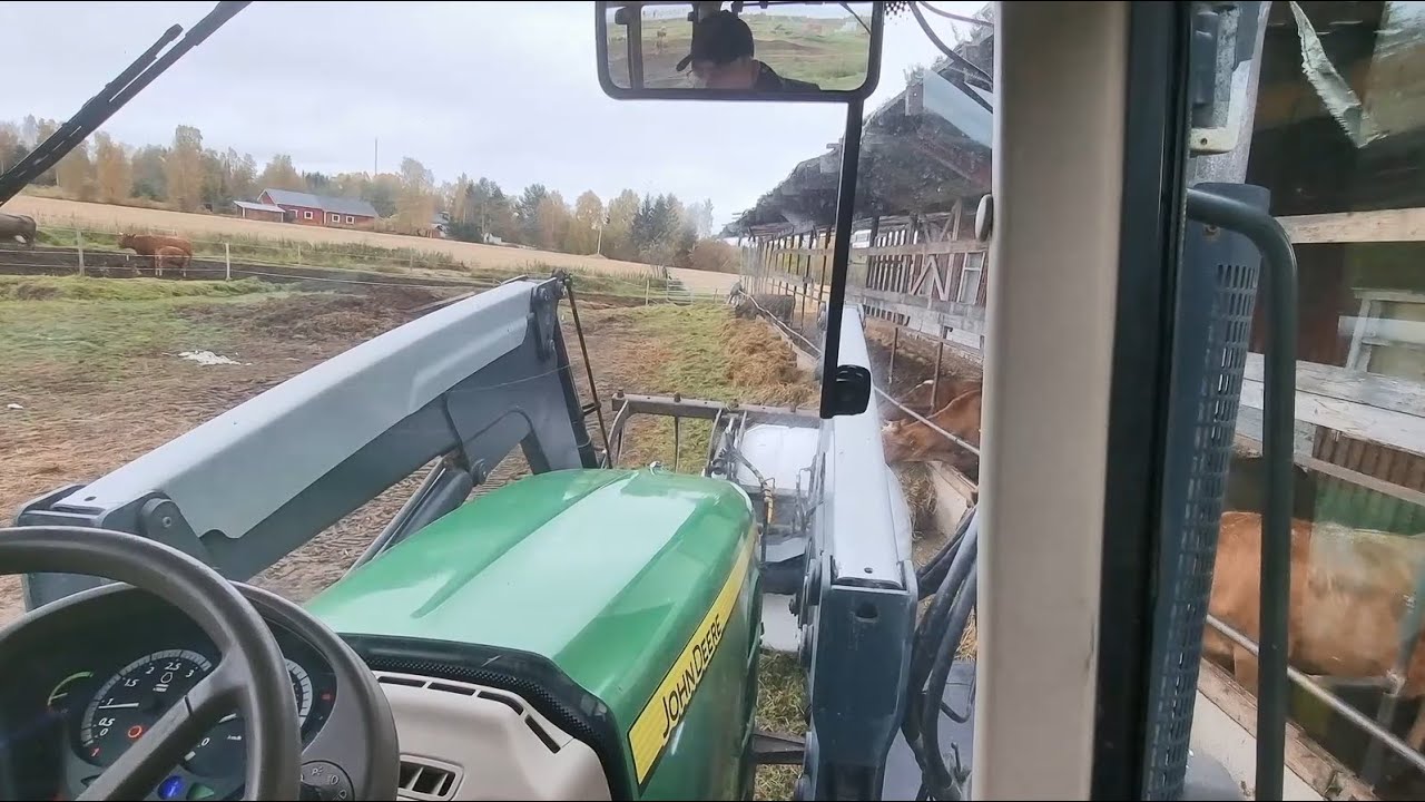 Emolehmien ruokintaa osa 2.