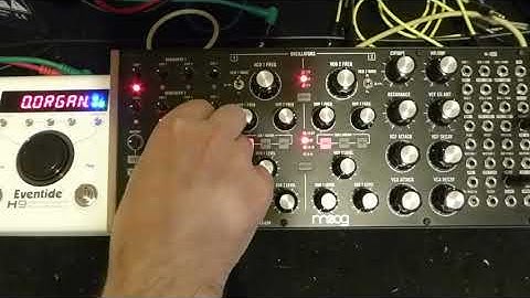 Moog Subharmonicon & Eventide H9 (Pitchfuzz)