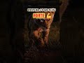 Disciplina é o que te faz forte: #music #newmusic #shortsviral #frasemotivacao #youtube #motivar
