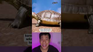 GOKIL 😱 FAKTA TENTANG CANGKANG KURA-KURA !?