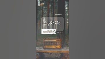 ﴿وَأَصحابُ اليَمينِ ما أَصحابُ اليَمينِ﴾ #قران_كريم #المنشاوي #سورة_الواقعة #quran