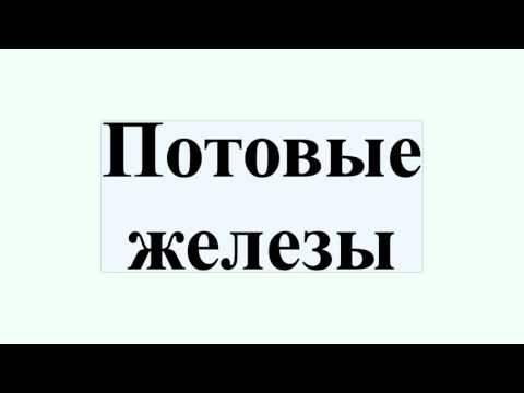 Потовые железы