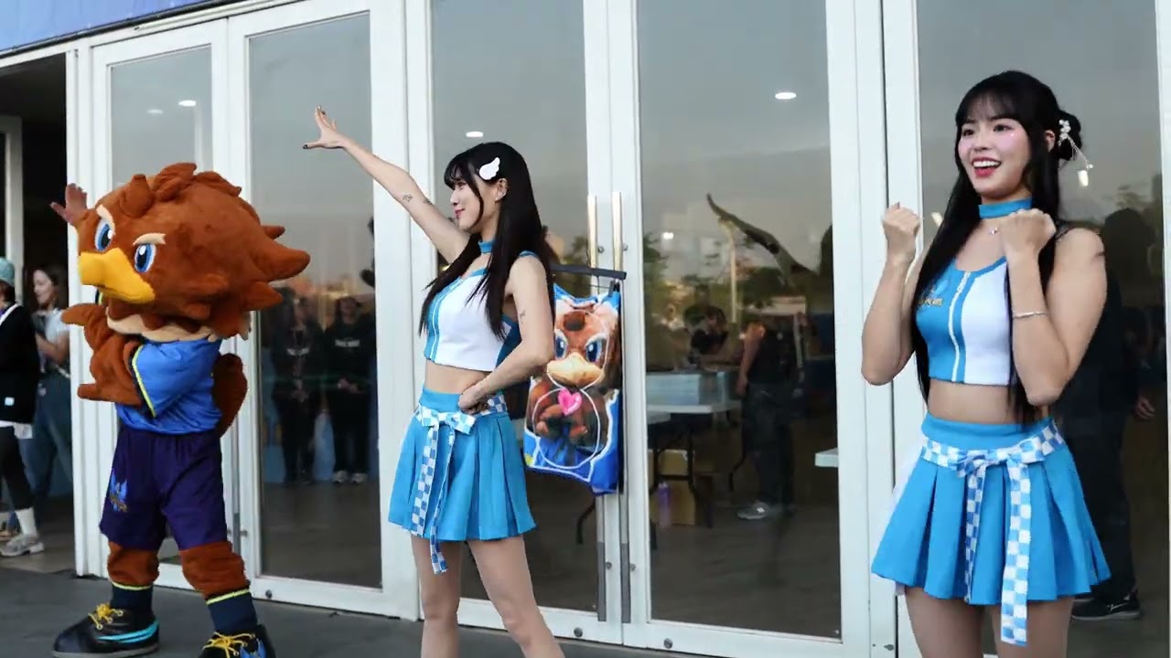 2026/Q1 TPVL 職排元年 台鋼天鷹主場 鳳山體育館 影片紀錄