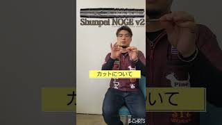 [COSMO DARTS]Shunpei NOGE v2 #野毛駿平 モデル ※特典フライト：6/15正午以降のご予約はS-DARTS限定カラー野毛駿平FITフライトAIRになります※　 #darts