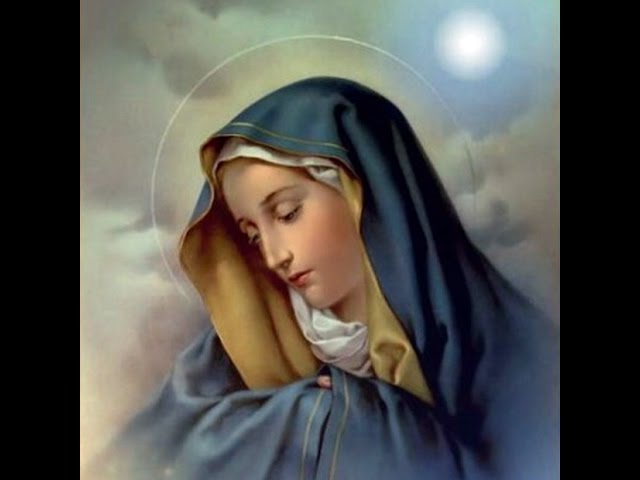 تراتيل السيدة مريم العذراء Hymns of the Virgin Mary class=